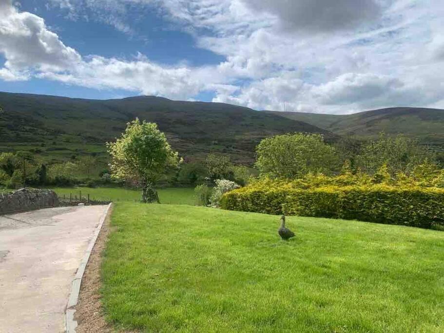 Villa Mountain House Omeath Near Carlingford O Meith Esterno foto