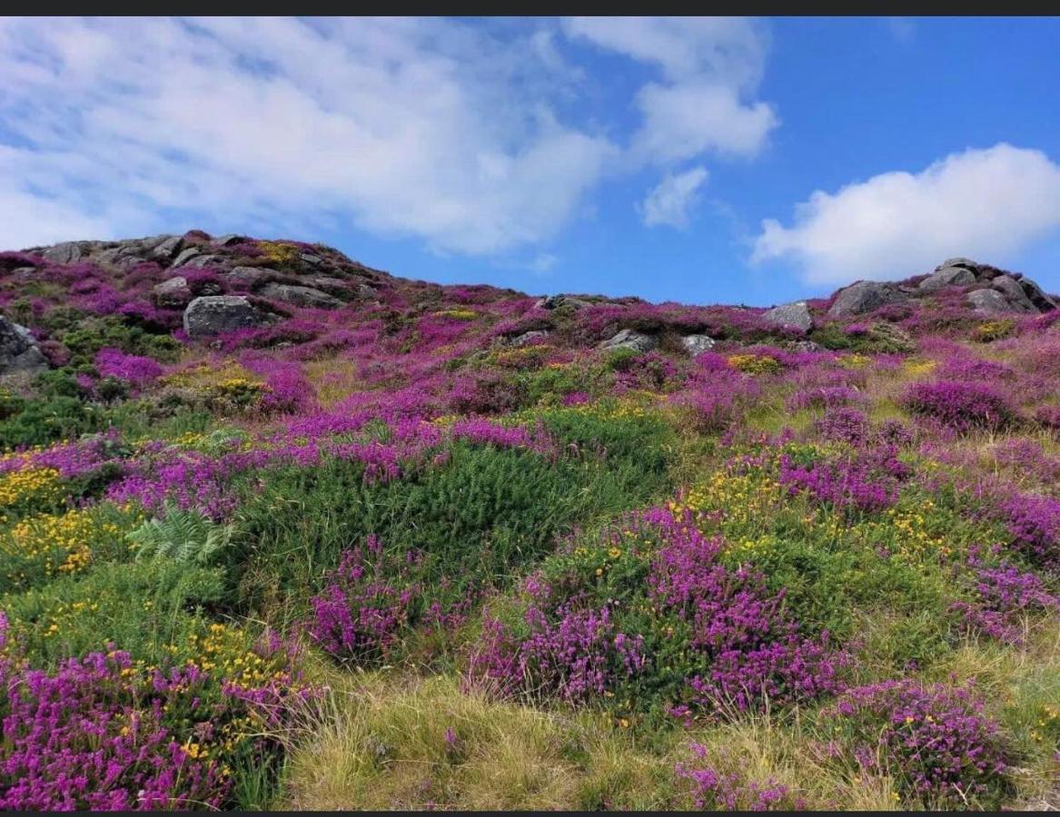 Villa Mountain House Omeath Near Carlingford O Meith Esterno foto