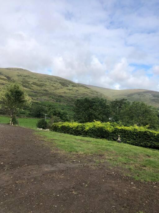 Villa Mountain House Omeath Near Carlingford O Meith Esterno foto
